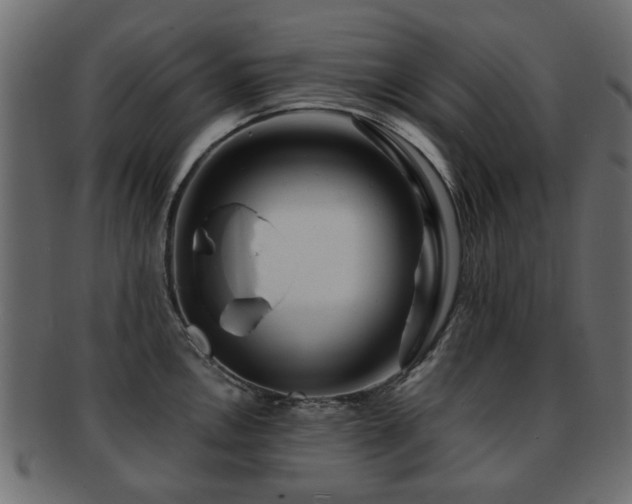 X0000093101146200709261225