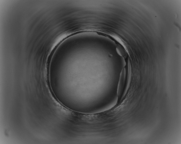 X0000093101147200709261225