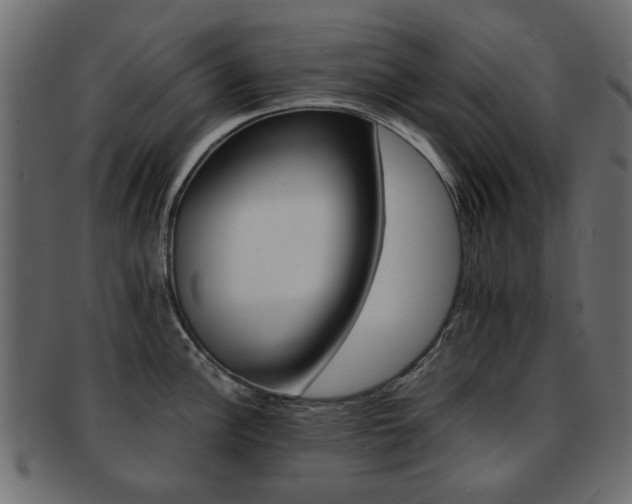 X0000093101148200709261225