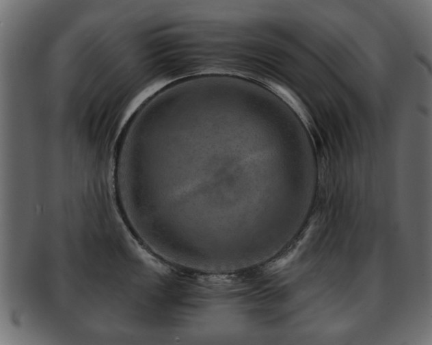 X0000093101149200709261225