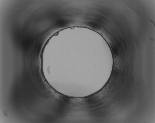 X0000093101150200709261225