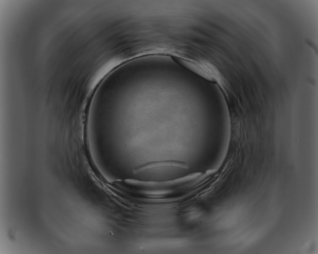 X0000093101151200709261225