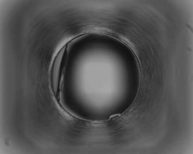 X0000093101152200709261225