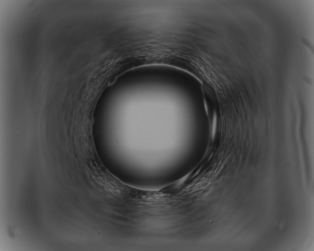 X0000093101153200709261225