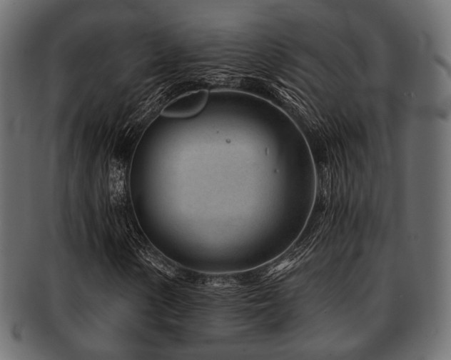 X0000093101154200709261225