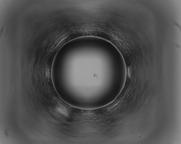 X0000093101155200709261225