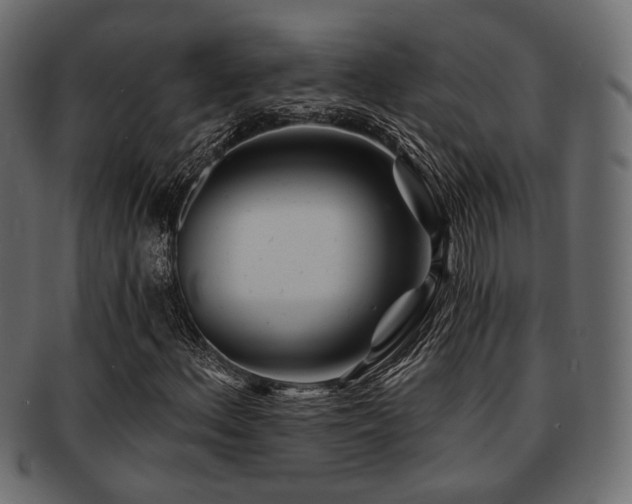 X0000093101156200709261225