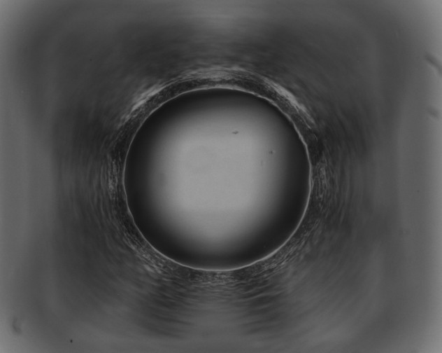 X0000093101158200709261225