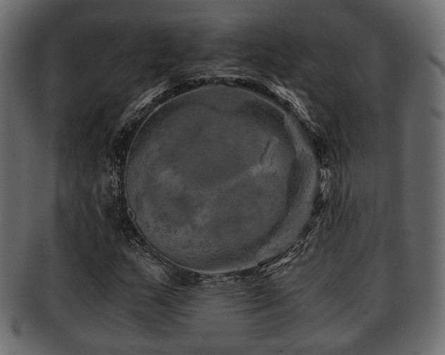 X0000093101159200709261225