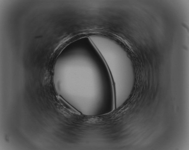X0000093101160200709261224