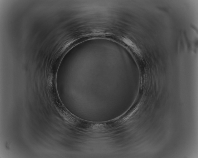X0000093101161200709261224