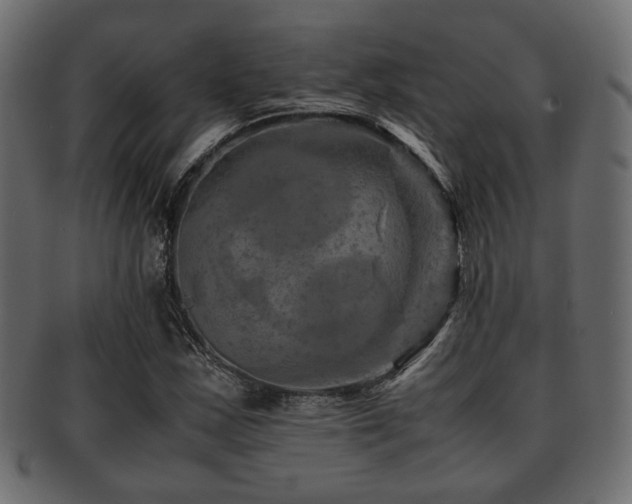 X0000093101163200709261224