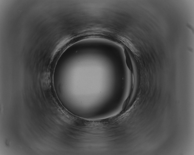 X0000093101164200709261224