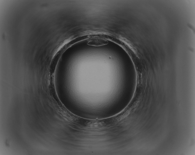 X0000093101165200709261224