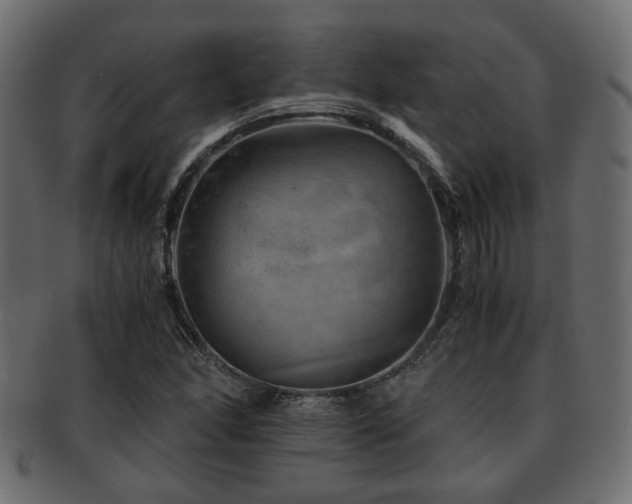 X0000093101166200709261224