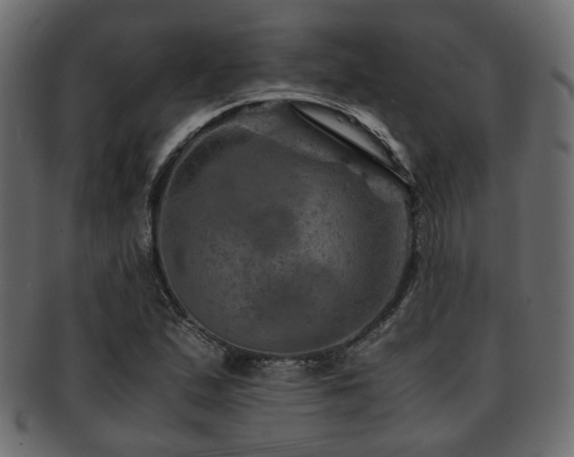X0000093101167200709261224