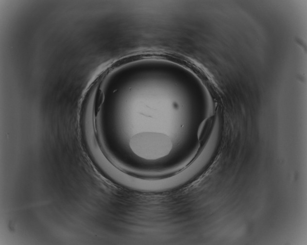 X0000093101168200709261224