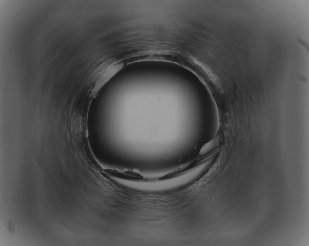 X0000093101169200709261224
