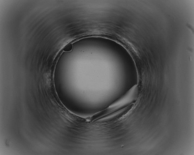 X0000093101170200709261224