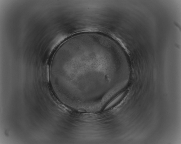 X0000093101171200709261224