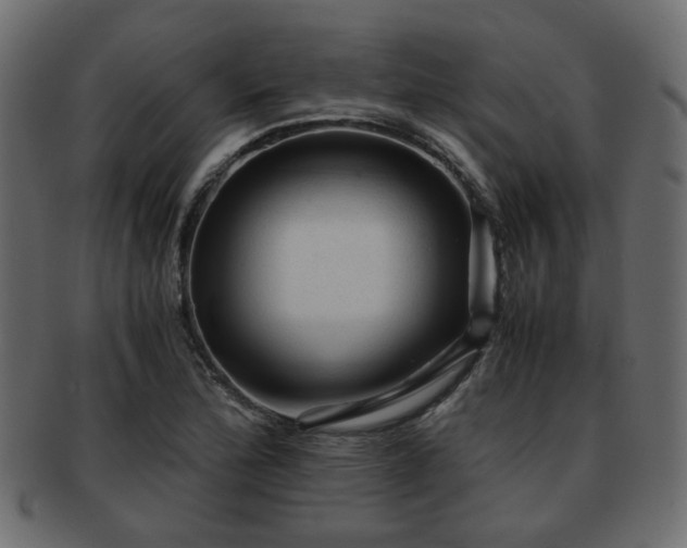 X0000093101172200709261224