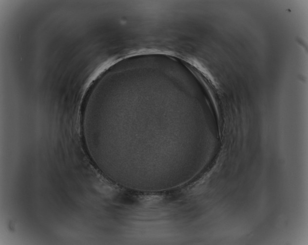 X0000093101173200709261224