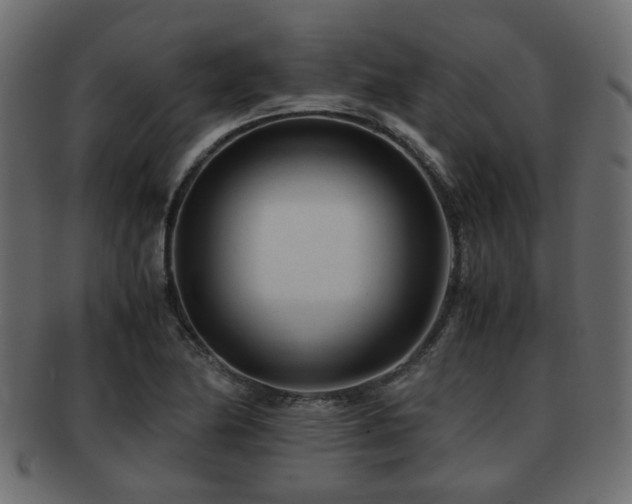 X0000093101174200709261224