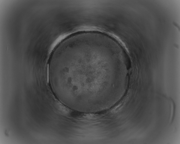 X0000093101175200709261224