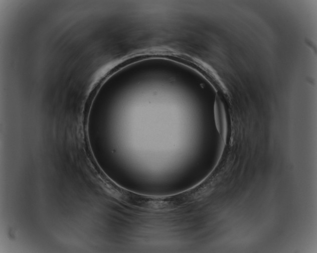 X0000093101176200709261224