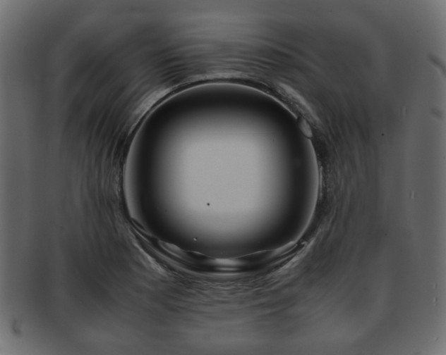X0000093101177200709261224