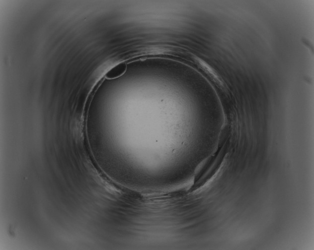 X0000093101178200709261224