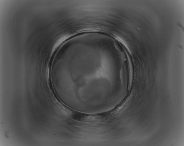 X0000093101179200709261224