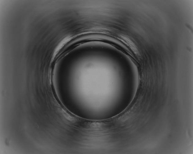 X0000093101180200709261224