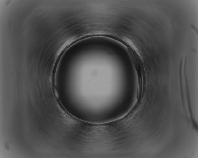 X0000093101181200709261224