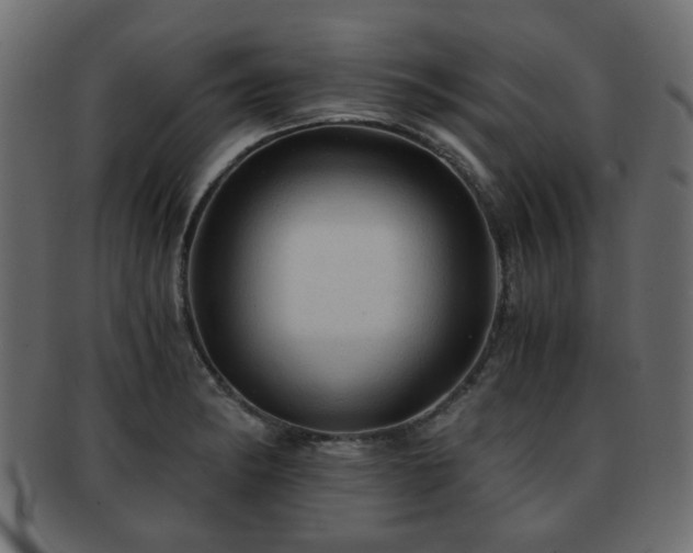 X0000093101182200709261224