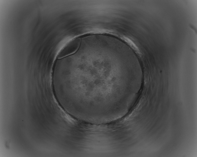 X0000093101183200709261224