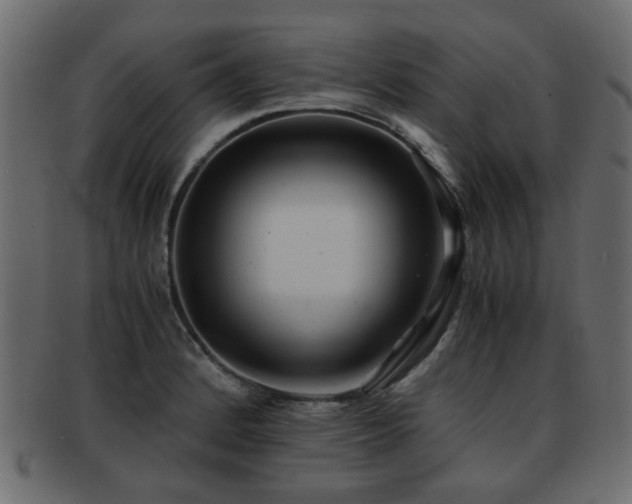 X0000093101184200709261224