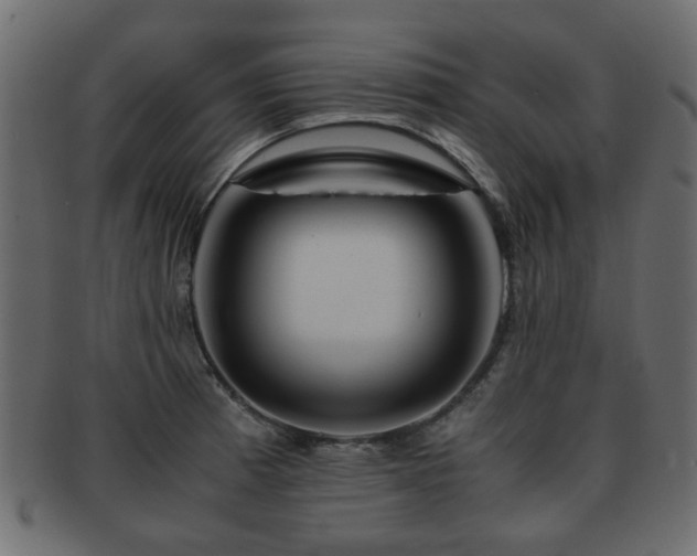 X0000093101185200709261224