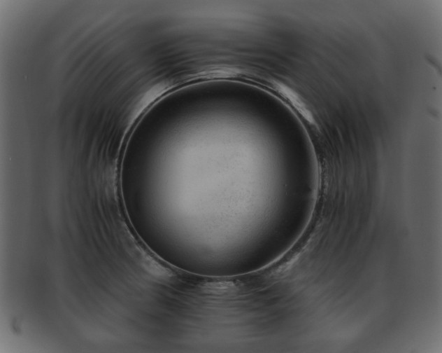 X0000093101186200709261224