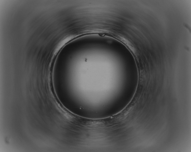 X0000093101187200709261224