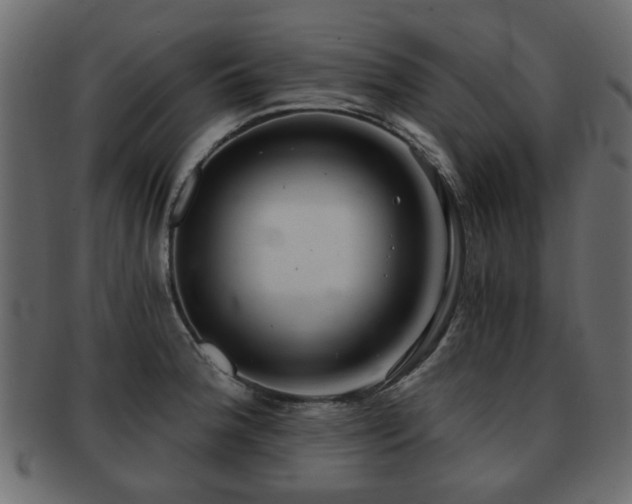 X0000093101188200709261224