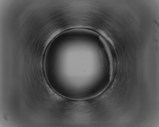 X0000093101189200709261224