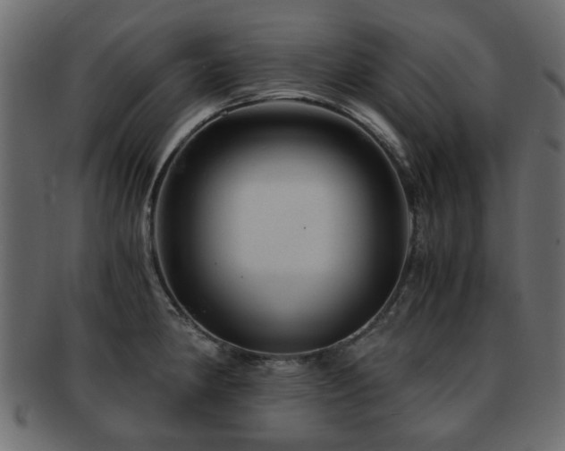 X0000093101190200709261224