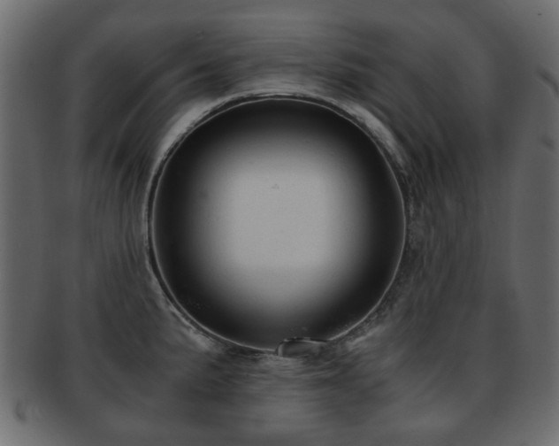 X0000093101191200709261224