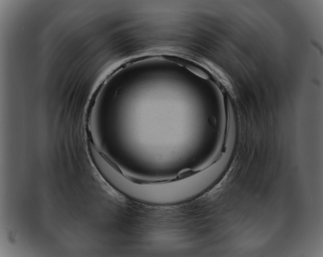 X0000093101192200709261224