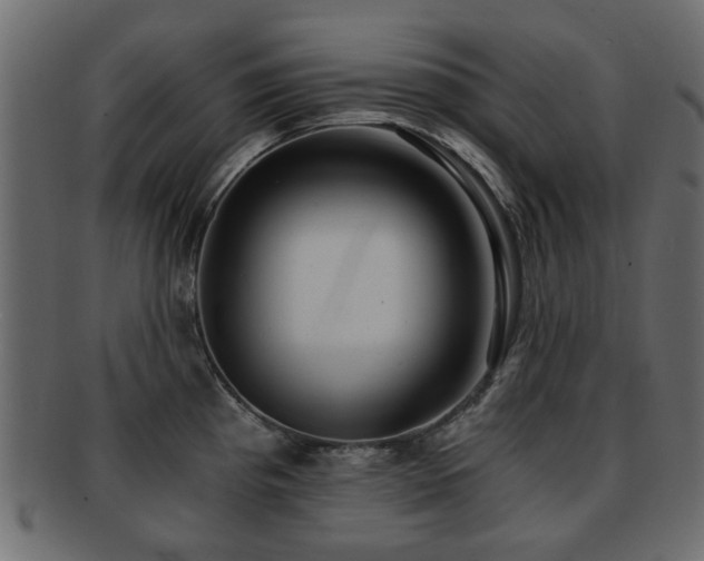 X0000093101193200709261224