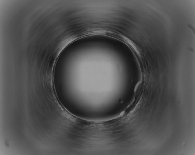 X0000093101194200709261224