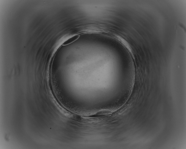 X0000093101195200709261224
