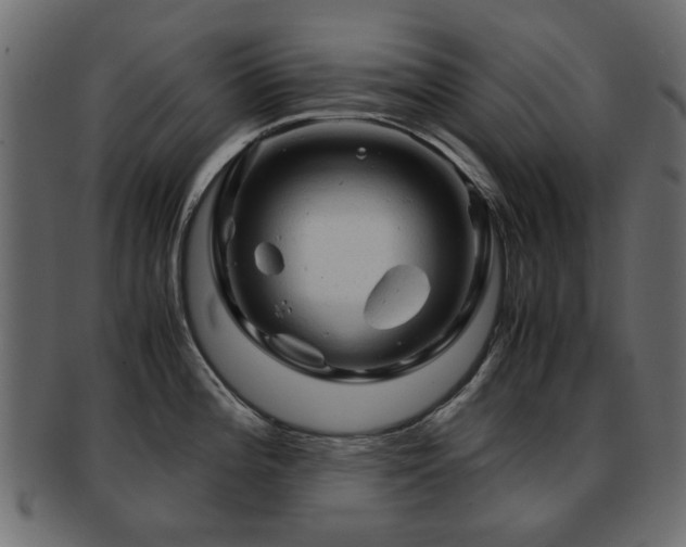 X0000093101196200709261224