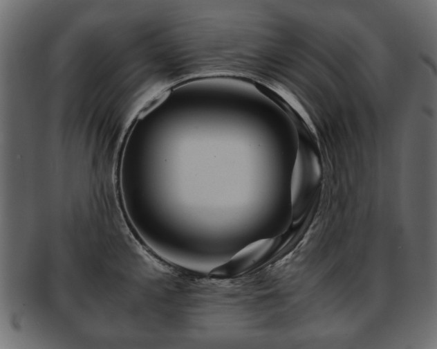 X0000093101197200709261224